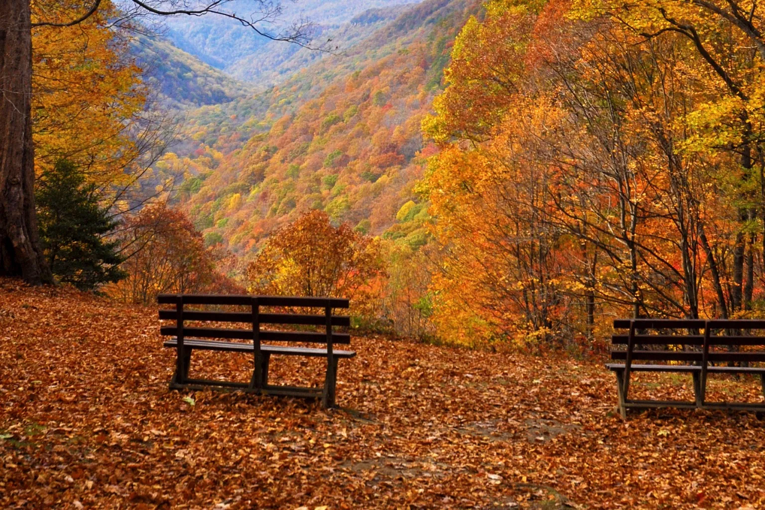 Oil and gas property in the Appalachian Basin